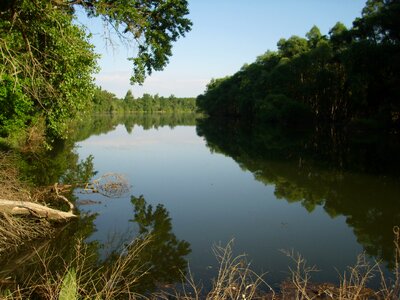 Water landscape forest