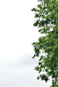 Italy, Parco nord milano, Side