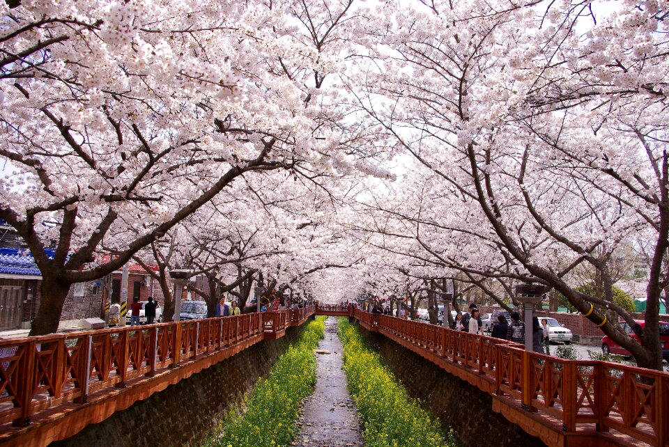 Canal city spring