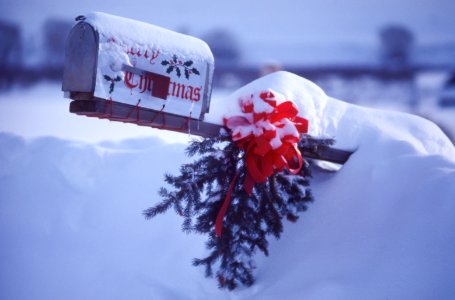 white and red mailbox covering snow photo