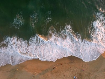 aerial photo of people on seashore during daytime