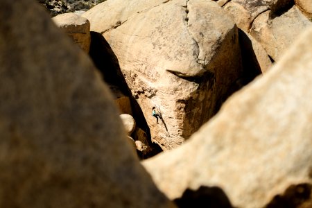 woman climbing on brown rock at daytime