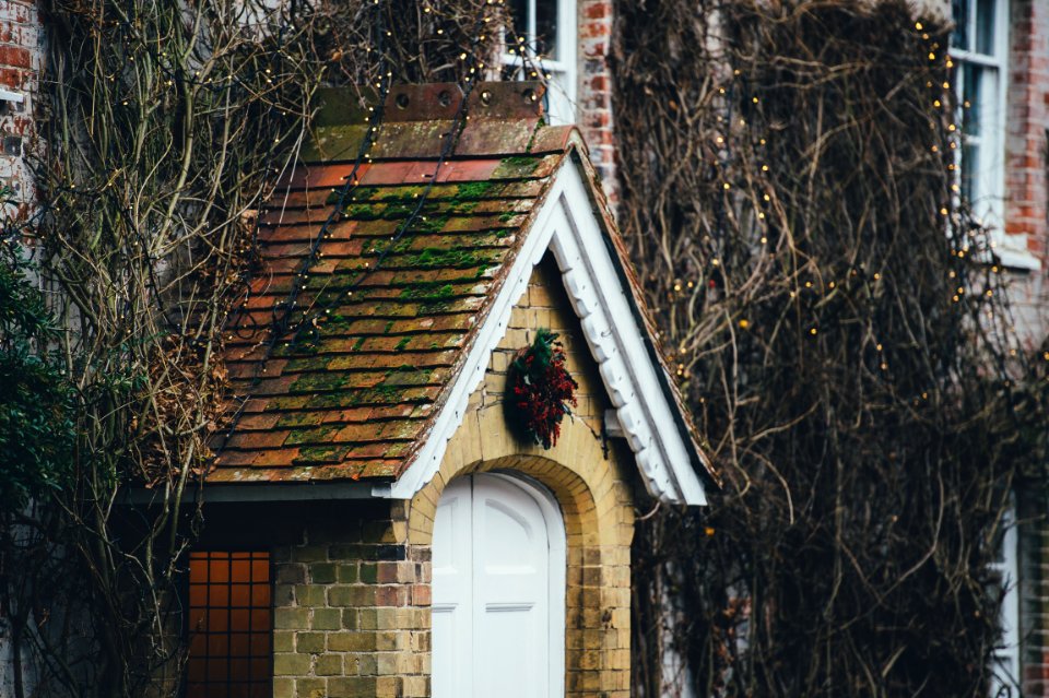 brown concrete house near bare trees photo