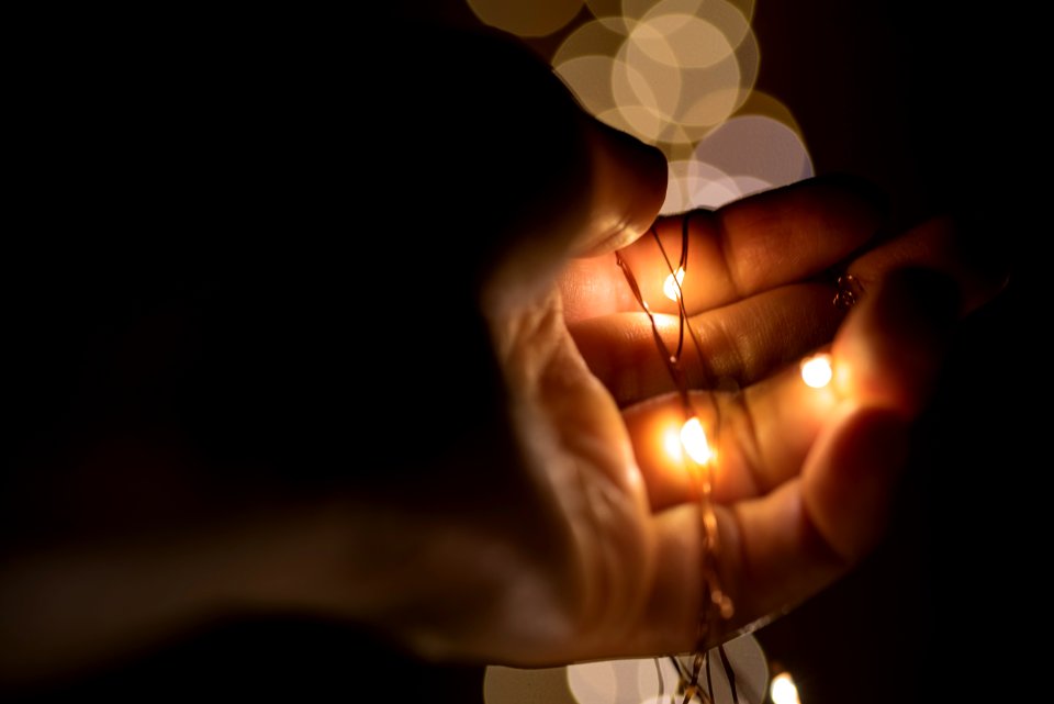 person holding lace with yellow lights
