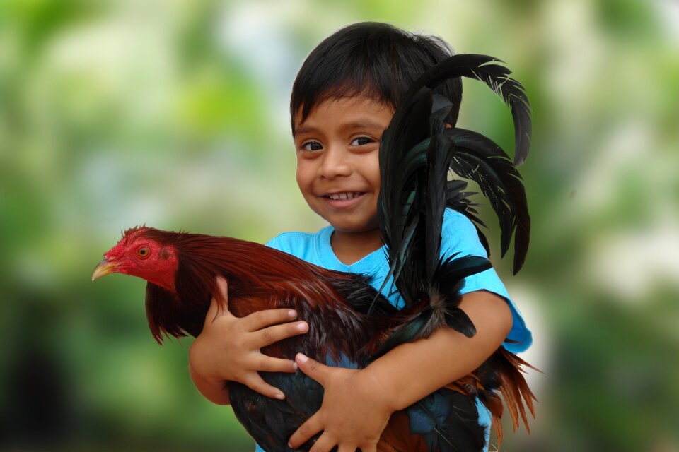 Child animal happy