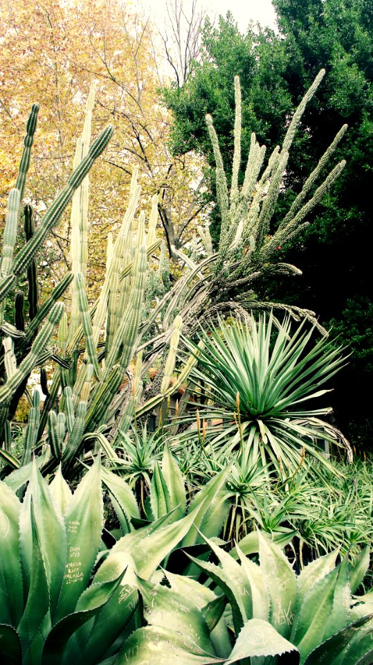Lisbon, Portugal, Greenery