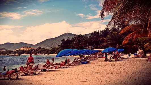 Collectivity of saint martin, Palms, Summer