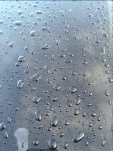 Saint petersburg, United states, Texture
