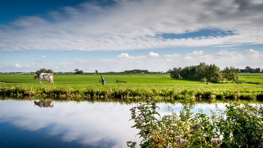 Netherlands dutch landscape ditch photo