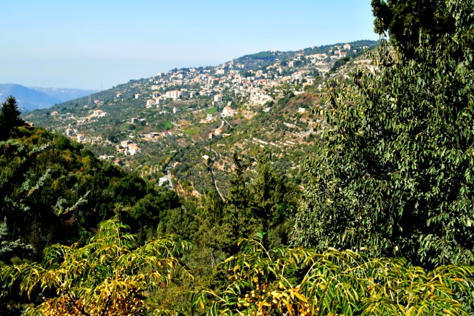 Lebanon, Tree, Mountain