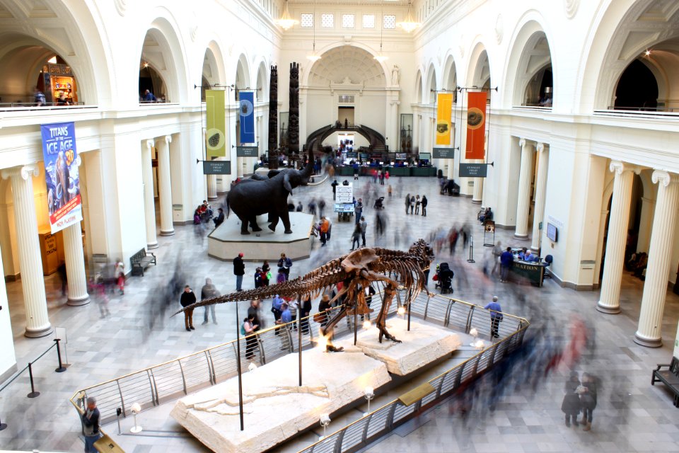 Chicago, The field museum, United states