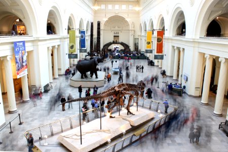 Chicago, The field museum, United states