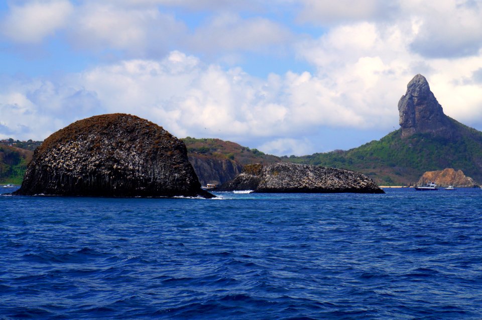 Fern, O de noronha, Brazil