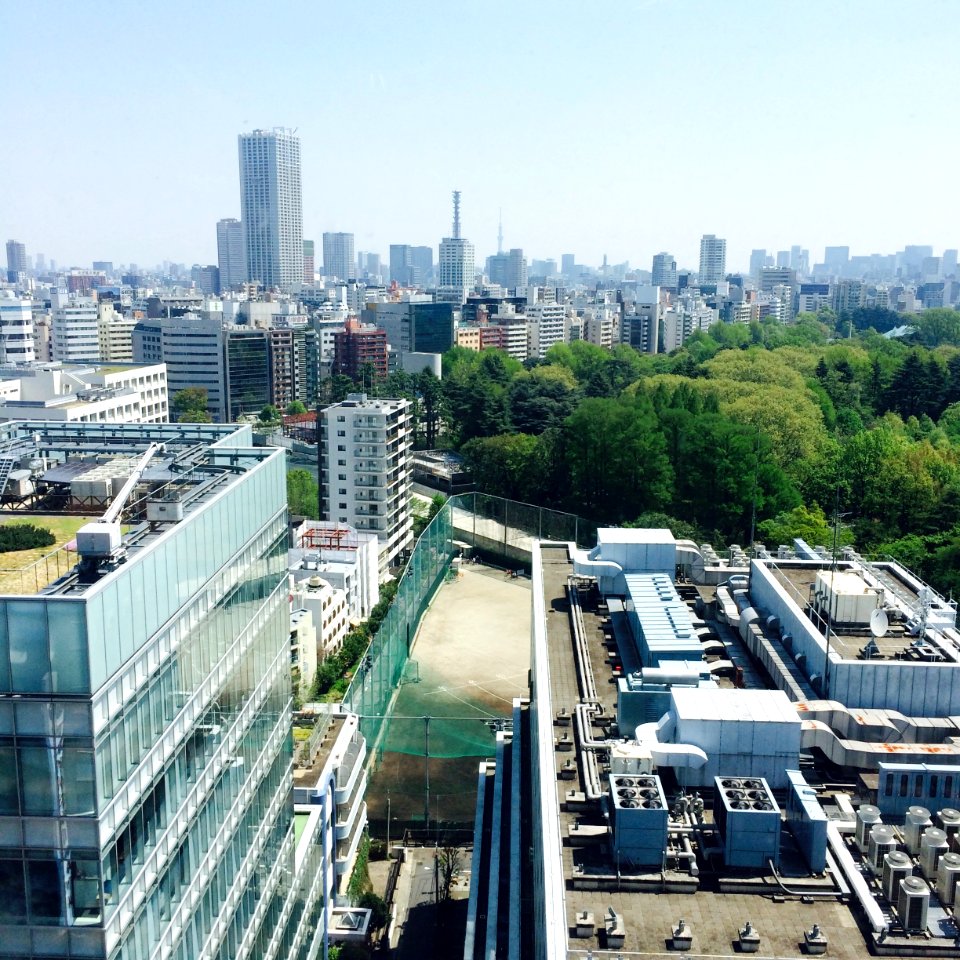 Japan, Shibuyaku, Tkyto