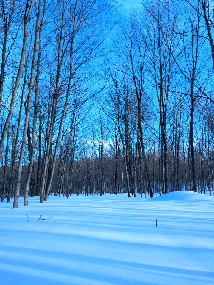 Saintvallier, Canada, Quebec