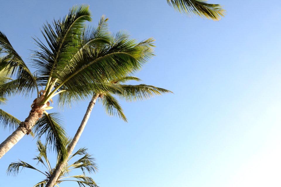 Flic en flac, Mauritius, Mauricius
