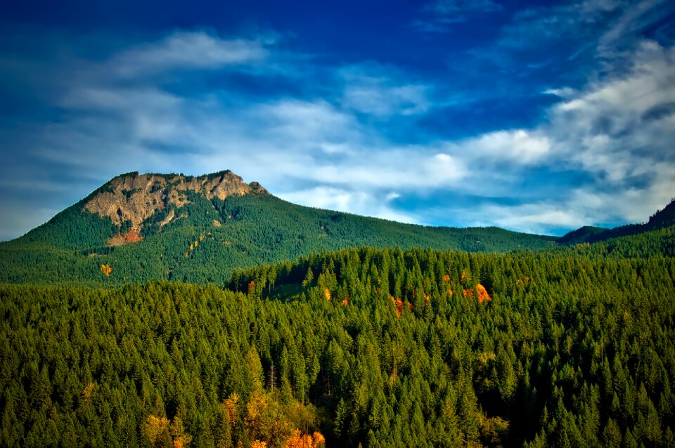 Woods mountains landscape