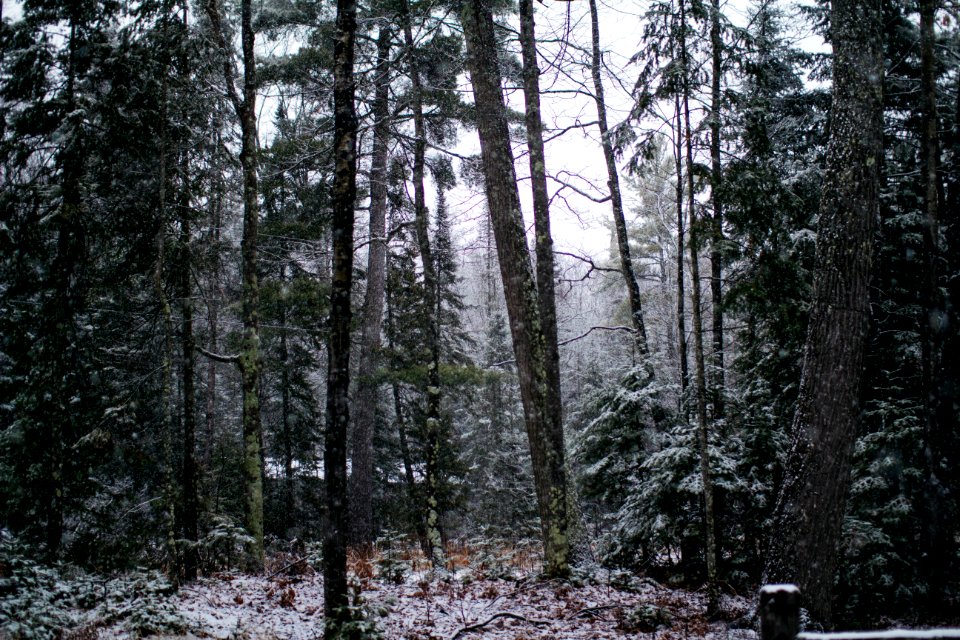 Wisconsin, United states, Frost