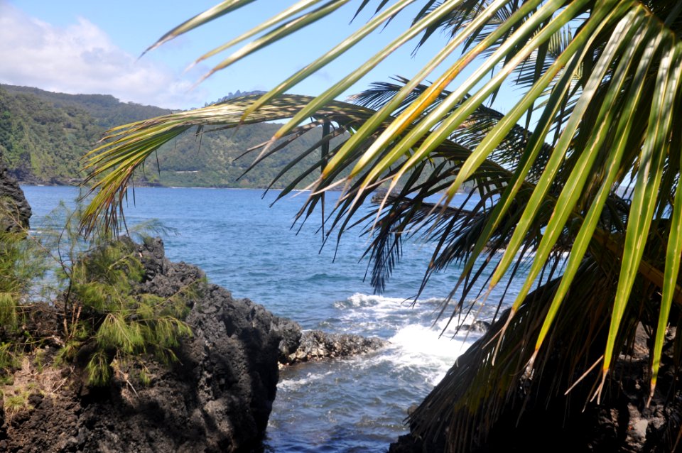 Maui county, United states