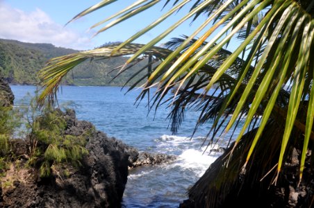 Maui county, United states