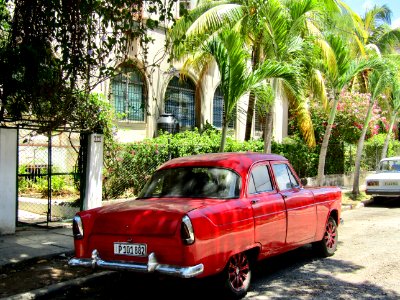 Cuba, Havana, Trees photo