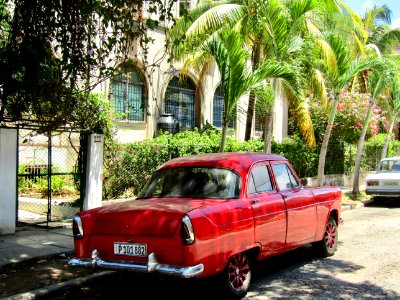 Cuba, Havana, Trees
