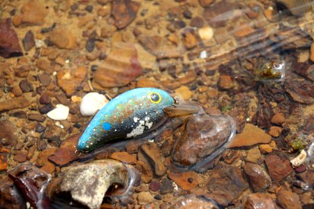 Grapevine lake, United states, Old fishing lures