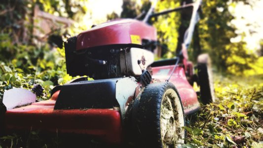 Bel air, Grass, Summer photo