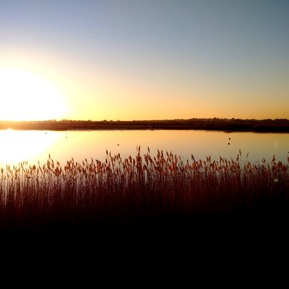 Fisherman s bank, Christchurch, United kingdom
