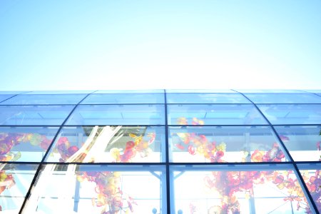 Seattle, United states, Chihuly garden