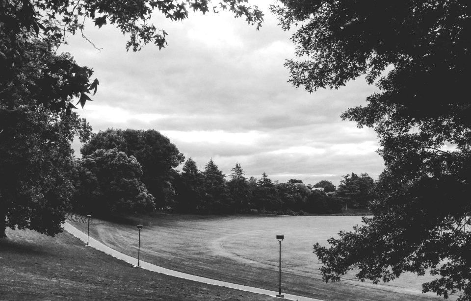 Hamilton, New Zealand, Depress