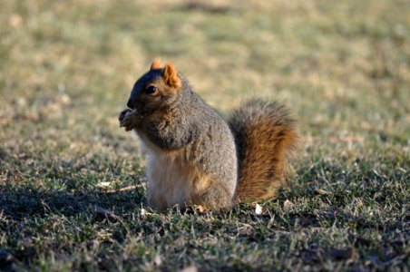 Fort collins, United states, Eating