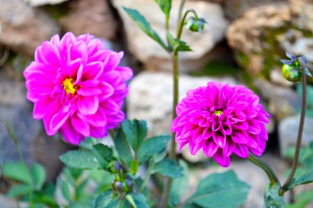 Peru, Puno, Saturated color photo