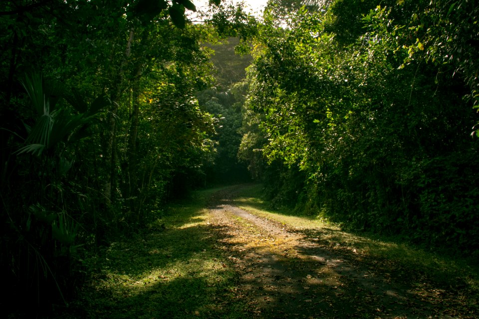 Colon, Panama, Quiet photo