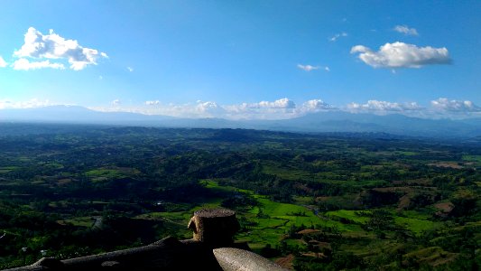 Quezon, Philippines, Trees