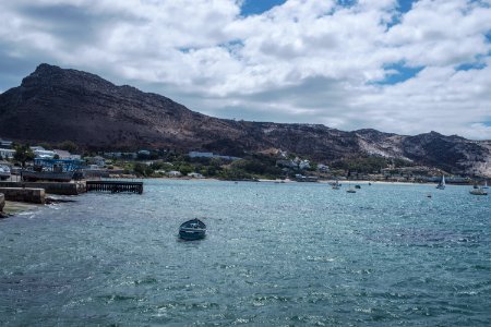 Simons town, Cape town, South africa photo