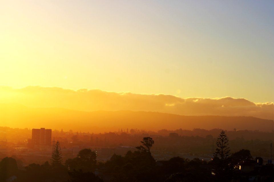 New windsor, Auckland, New zeal