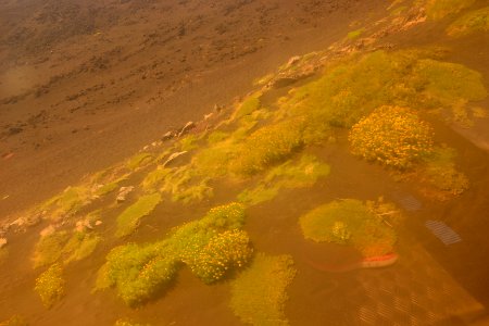 Etna, Italie, Ground