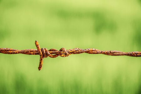 Barbed wire rust old