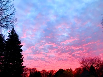 February, Minnesota, Pinks