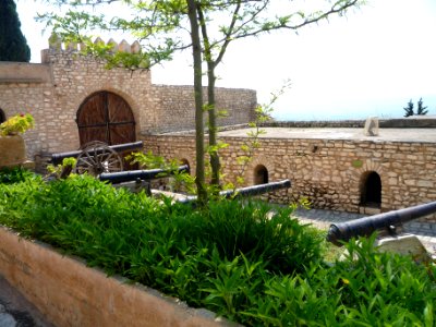 Tunisia, El kef, Forest