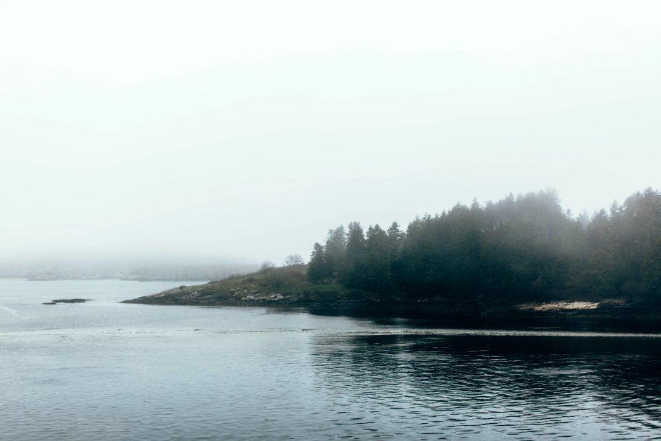 Grey, Nature, Outdoors