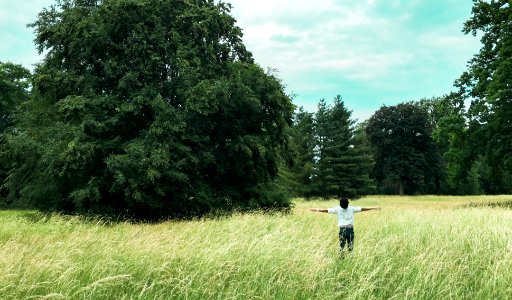 Sky, Free, Garden