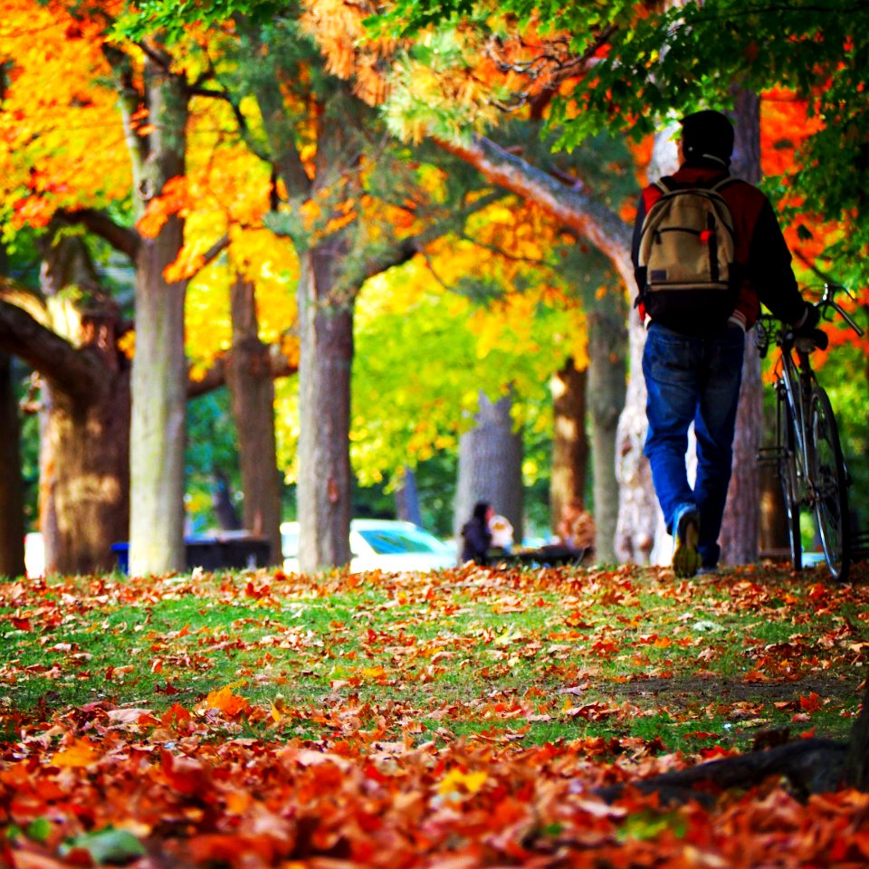 Canada, Toronto, High park