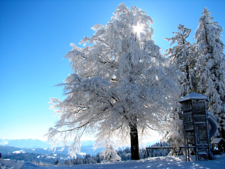 Pfnder, Bregenz, Austria