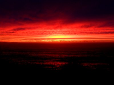 Curio bay, New Zealand, Sunrise