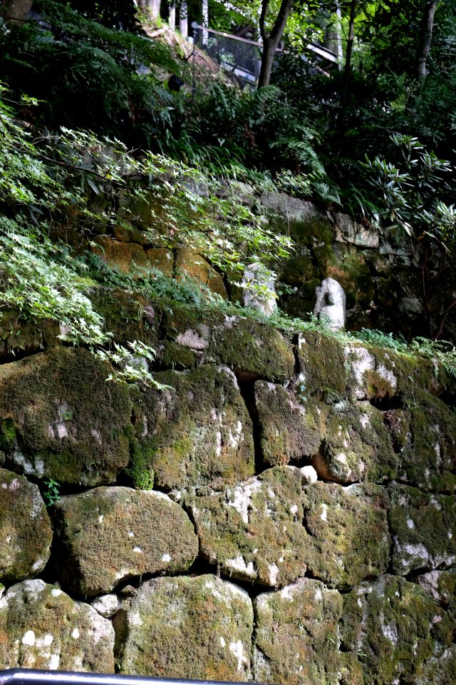 Kyoto prefecture, Japan