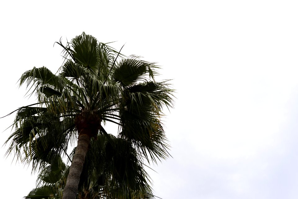 Mallorca, Espanja, Sky