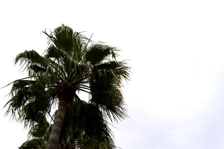 Mallorca, Espanja, Sky