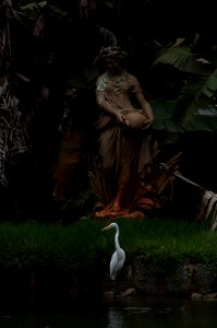 Rio de janeiro, Jardim botnico do rio de janeiro, Brazil